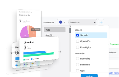 Segmentación y personalización