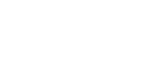 OLC Group Logo